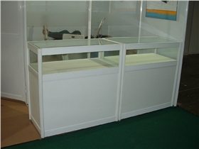 玻璃折叠柜 玻璃折叠柜