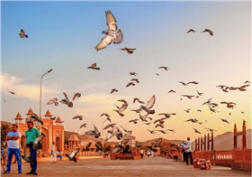 微信截图_20170724155521.png 微信截图_20170724155521.png