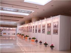 摄影作品展墙 摄影作品展墙