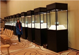 工艺品展柜 工艺品展柜